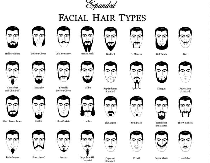 World Beard And Moustache Championships Movember Facial Hair PNG, Clipart, Beard, Beard And Moustache, Black And White, Brand, Chart Free PNG Download