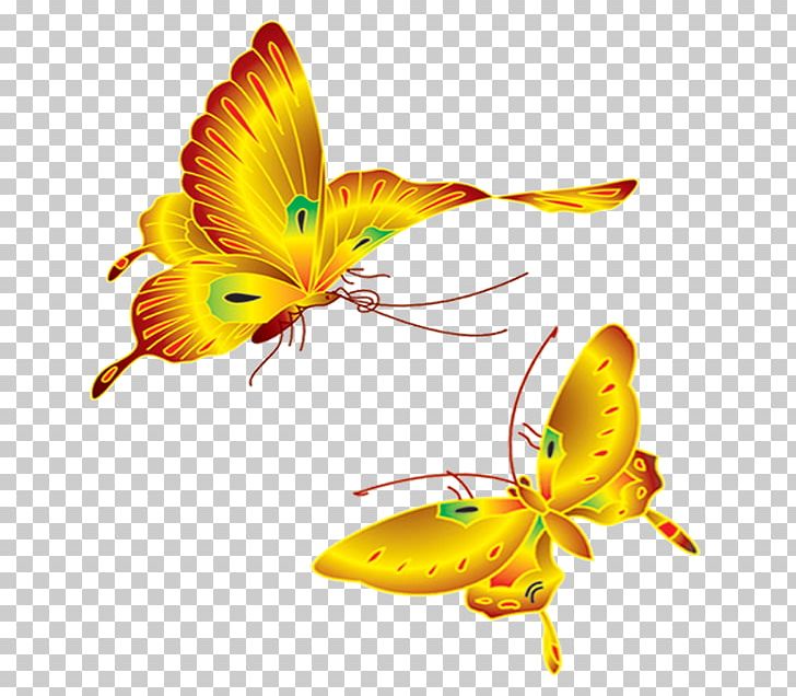 Butterfly Insect Wing 2M Fish PNG, Clipart, Aac, Butterflies And Moths, Butterfly, Fish, Flower Free PNG Download