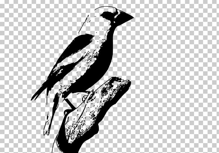 Computer Icons PNG, Clipart, Art, Beak, Bird, Black And White, Computer Icons Free PNG Download