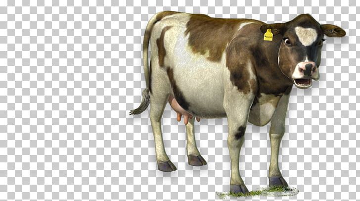 Dairy Cattle The Cow Ox PNG, Clipart, Cattle, Cattle Like Mammal, Chemistry, Cow, Cow Goat Family Free PNG Download