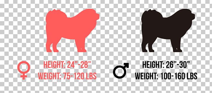 Dog Breed Tibetan Mastiff English Mastiff Chow Chow Puppy PNG, Clipart, Breed, Breed Group Dog, Breed Standard, Carnivoran, Chow Chow Free PNG Download