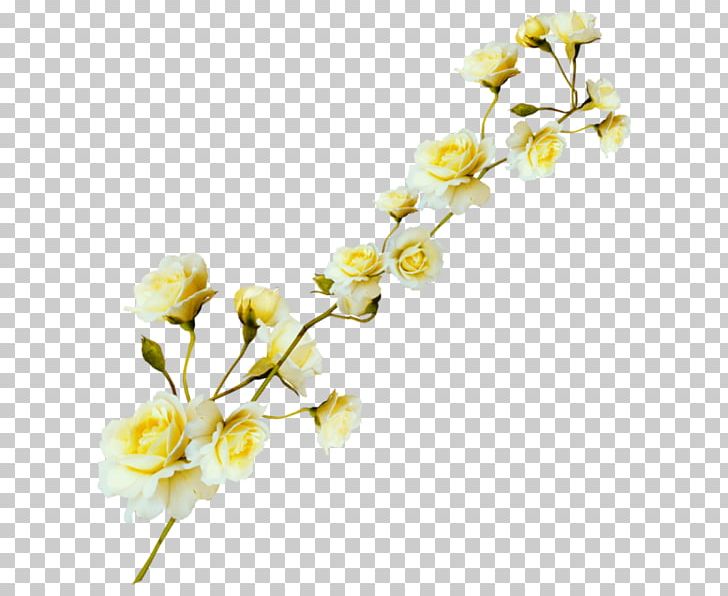 Yellow Floral Design Flower PNG, Clipart, Blossom, Branch, Cherry Blossom, Cicekler, Cicek Resimleri Free PNG Download