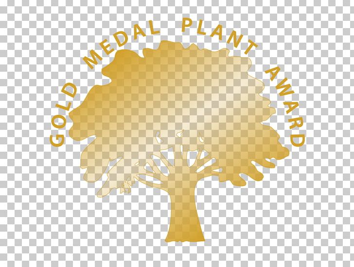 Cornell Cooperative Extension Urban Forestry Horticulture Tree PNG, Clipart, Brand, Circle, Community Forestry, Computer Wallpaper, Cornell University Free PNG Download