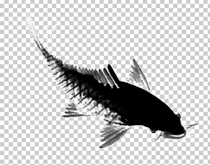 Fish Ink Wash Painting PNG, Clipart, Animal, Animals, Aquarium Fish, Background, Black And White Free PNG Download