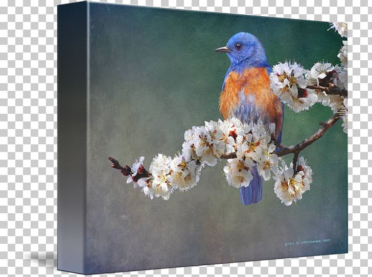Wall Decal Still Life Painting Photography PNG, Clipart, Beak, Bird, Blossom, Bluebird, Branch Free PNG Download
