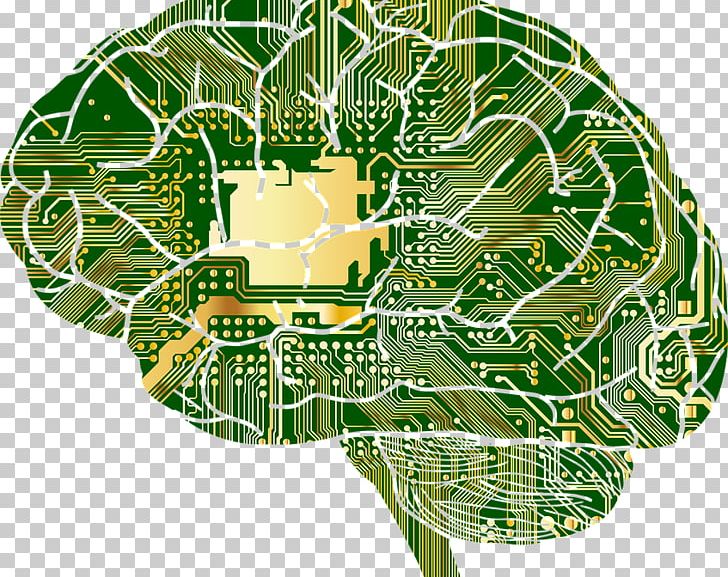 Artificial Neural Network Computer Network Anatomy Brain PNG, Clipart, Anatomy, Artificial Neural Network, Biology, Brain, Computer Network Free PNG Download