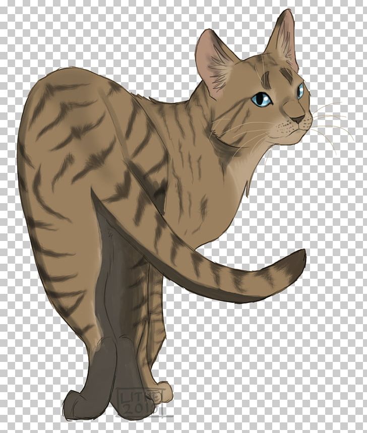 The Rise Of Scourge Warriors Littlecloud Erin Hunter Cinderpelt PNG, Clipart, Asian, California Spangled, Carnivoran, Cat, Cat Like Mammal Free PNG Download