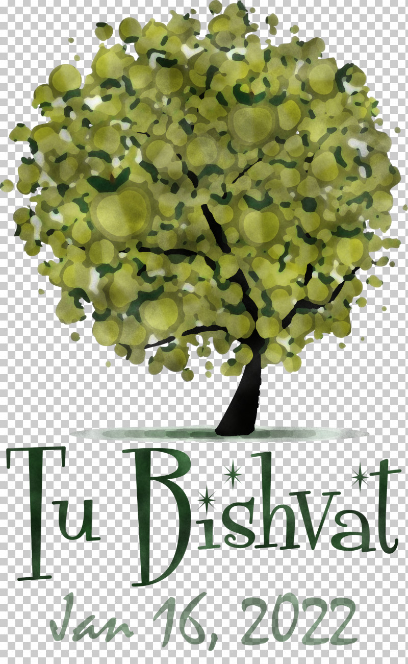 Tu Bishvat PNG, Clipart, Beauty Parlour, Drawing, Leaf Vegetable, Superfood, Tree Free PNG Download