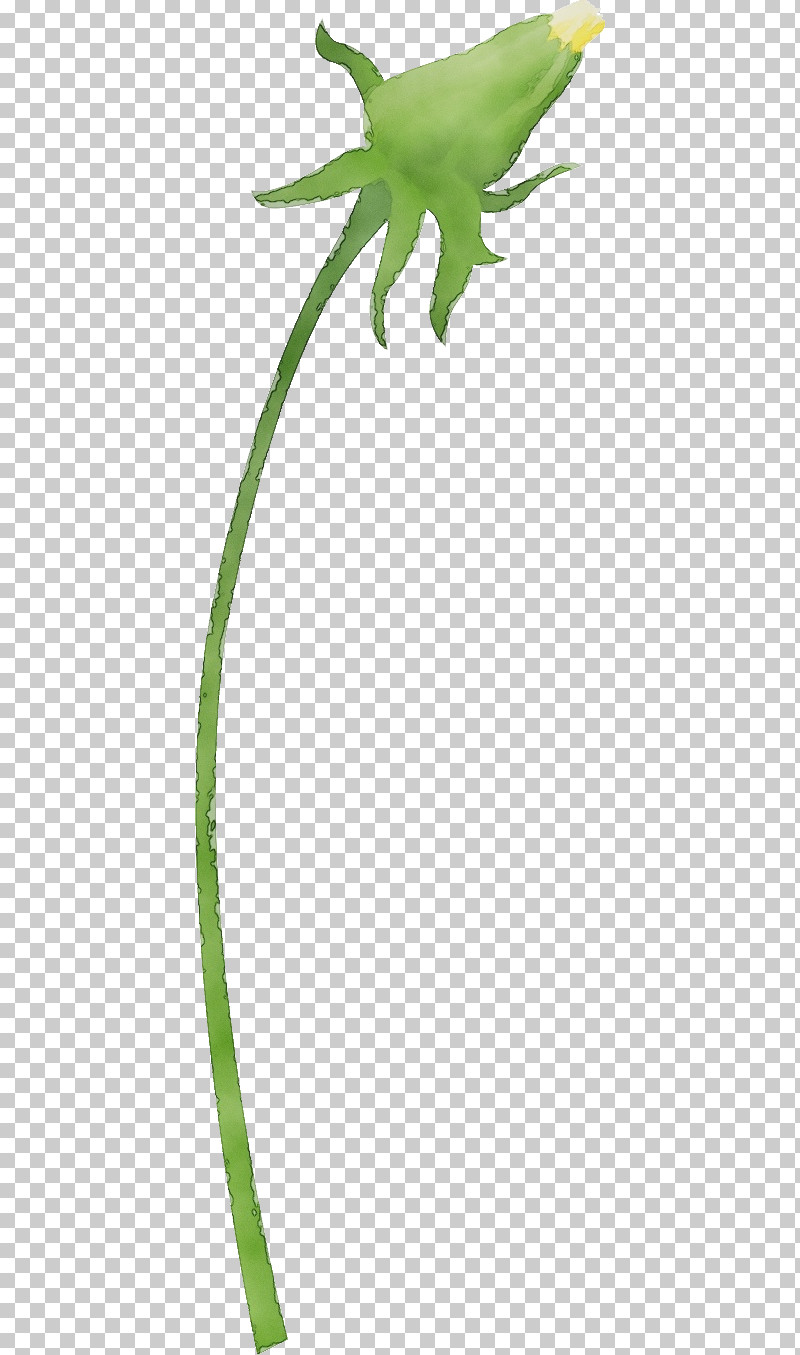 Twig Plant Stem Leaf Grasses Character PNG, Clipart, Biology, Character, Character Created By, Dandelion, Flower Free PNG Download