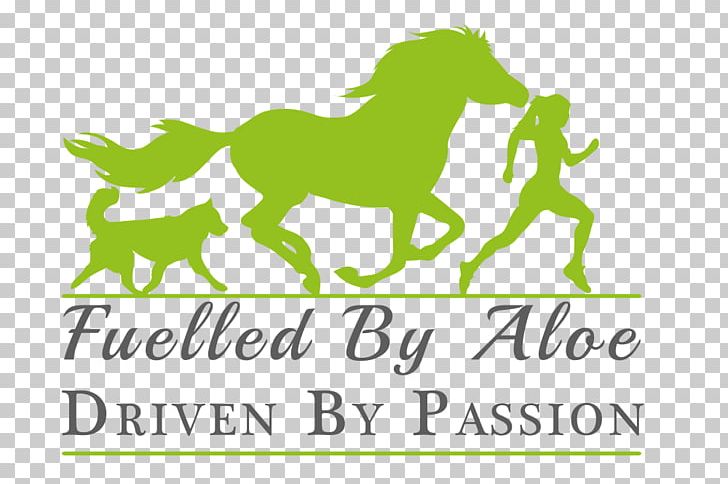 Pony Mustang Paper Excellent Stickers PNG, Clipart,  Free PNG Download