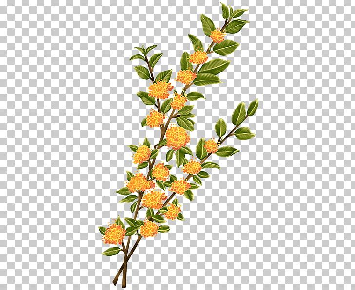 Twig Plant Stem Leaf Flowering Plant PNG, Clipart, Branch, Chickadee, Flower, Flowering Plant, Leaf Free PNG Download
