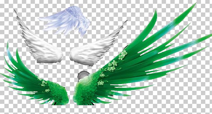 Green PNG, Clipart, Angel Wings, Bulletin Board System, Chicken Wings, Clip Art, Color Free PNG Download