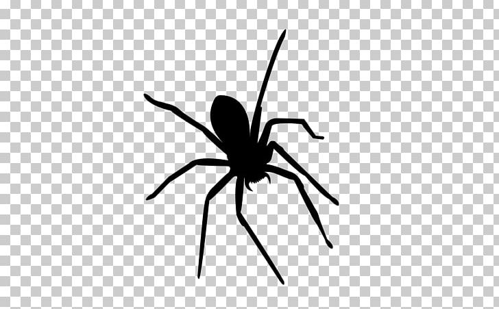 Widow Spiders Insect Mosquito Ant PNG, Clipart, Ant, Arachnid, August, Black And White, Country Free PNG Download