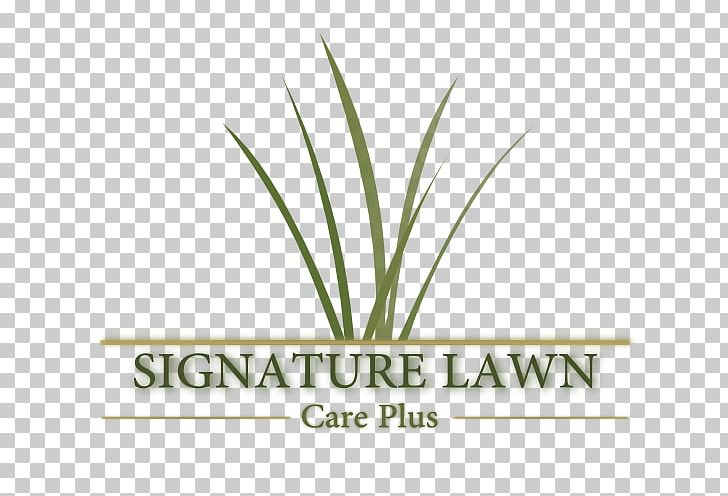 Logo Font Hemp Grasses Plant Stem PNG, Clipart, Brand, Family, Grass, Grasses, Grass Family Free PNG Download