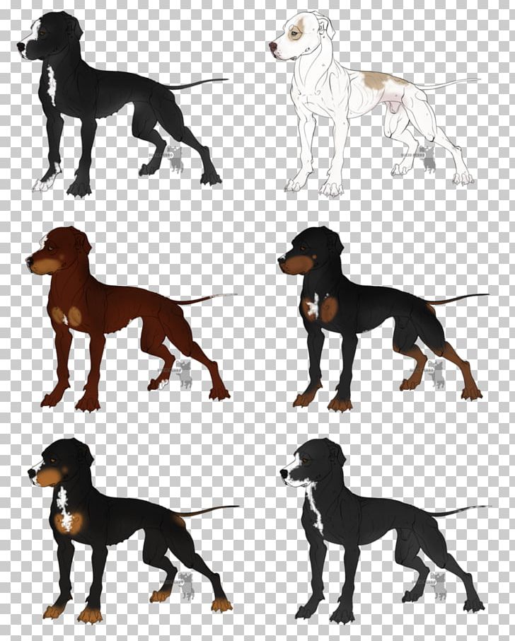 Saluki Dog Breed Hunting Dog Hound PNG, Clipart, Breed, Carnivoran, Dog, Dog Breed, Dog Like Mammal Free PNG Download