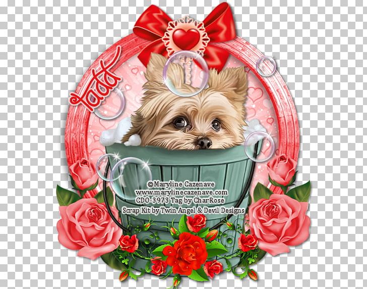 Yorkshire Terrier Cairn Terrier Morkie Puppy PNG, Clipart, Animal, Animals, Cairn Terrier, Canidae, Carnivoran Free PNG Download