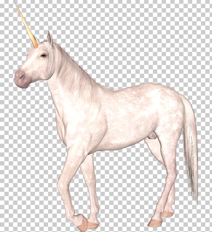 Horse Unicorn Mane Watercolor Painting PNG, Clipart, Animal Figure, Color, Colt, Download, Drawing Free PNG Download