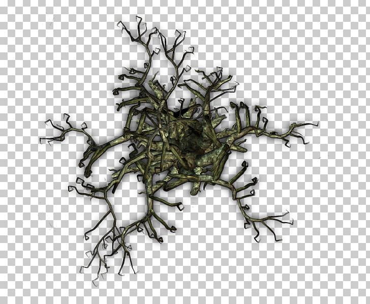Twig Tree Vine Plant Snag PNG, Clipart, Animal, Branch, Computer Software, Ip Address, Map Free PNG Download