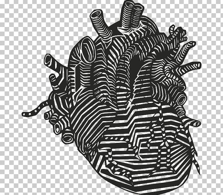 Drawing Heart Anatomy PNG, Clipart, Anatomy, Artery, Black, Black And White, Blood Free PNG Download