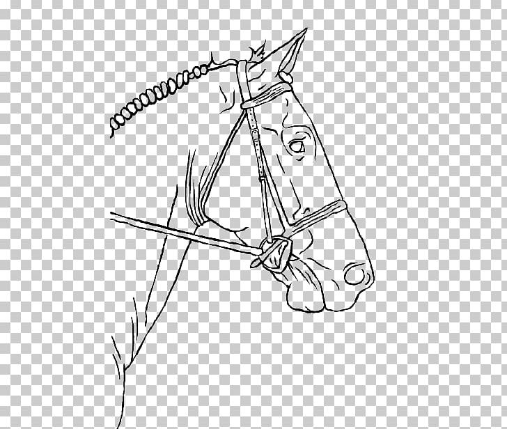 Line Art Horse Drawing Pony Equestrian PNG, Clipart, Angle, Area, Arm, Art, Artwork Free PNG Download