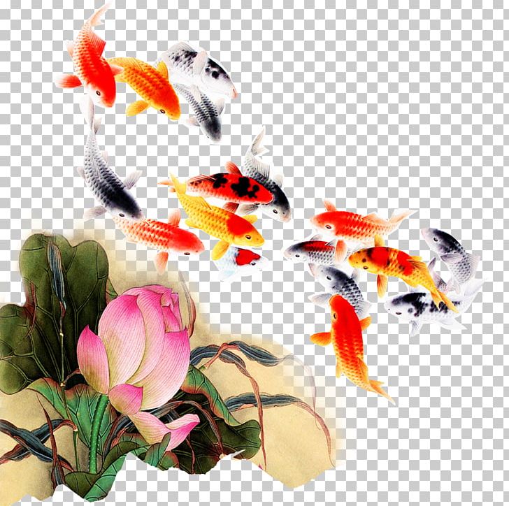 Koi Fish Computer File PNG, Clipart, Antiquity, Aquarium Fish, Carp, Common Carp, Download Free PNG Download