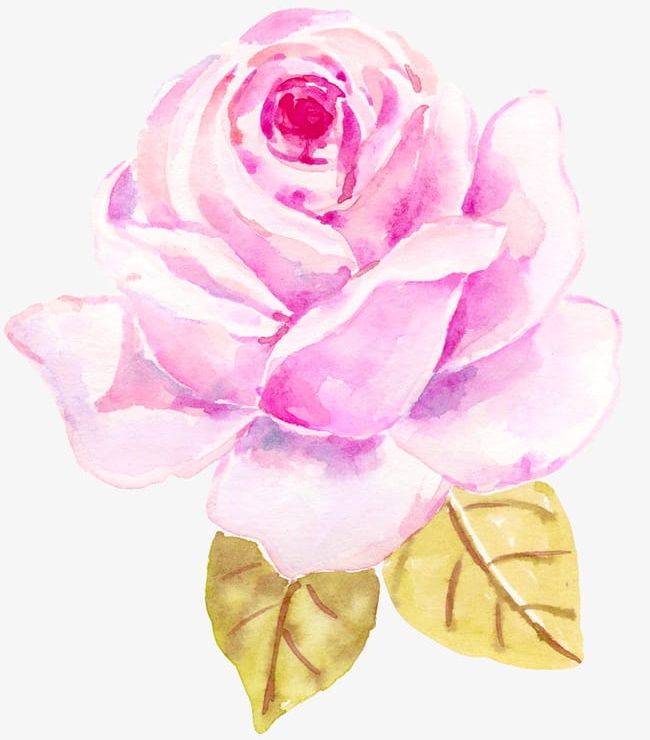 Download Aesthetic Rose Drawing Png | PNG & GIF BASE