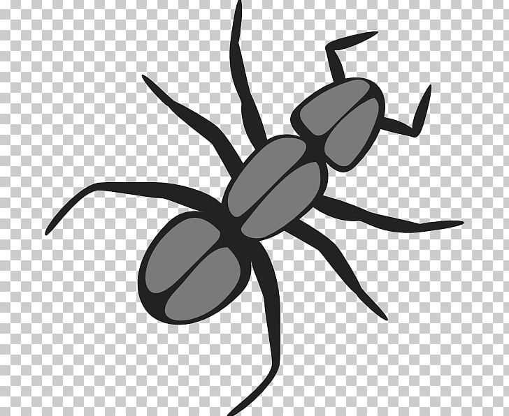 Ant Insect Cartoon PNG, Clipart, Animals, Ant, Ant Colony, Arthropod, Artwork Free PNG Download