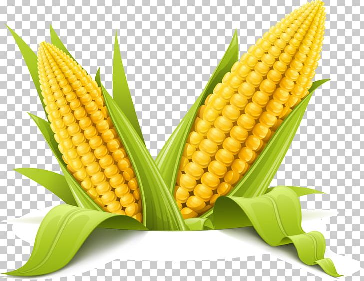Corn On The Cob Maize Corncob PNG, Clipart, Art, Clip Art, Commodity, Corncob, Corn Kernels Free PNG Download