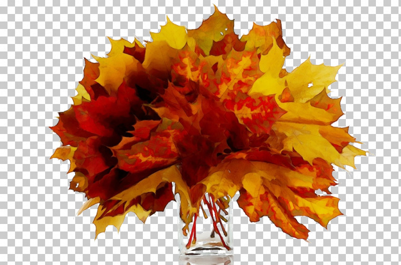 Maple Leaf PNG, Clipart, Autumn, Cut Flowers, Flower, Leaf, Maple Free PNG Download