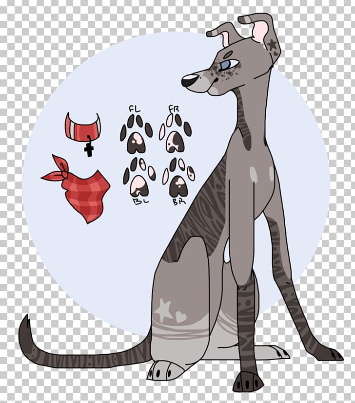 Cat Dog Macropodidae Mammal Animal PNG, Clipart, Animal, Animals, Auction, Canidae, Carnivora Free PNG Download