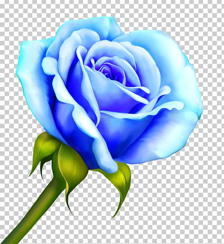 Drawing PNG, Clipart, Blue, Blue Rose, Closeup, Color, Computer Wallpaper Free PNG Download