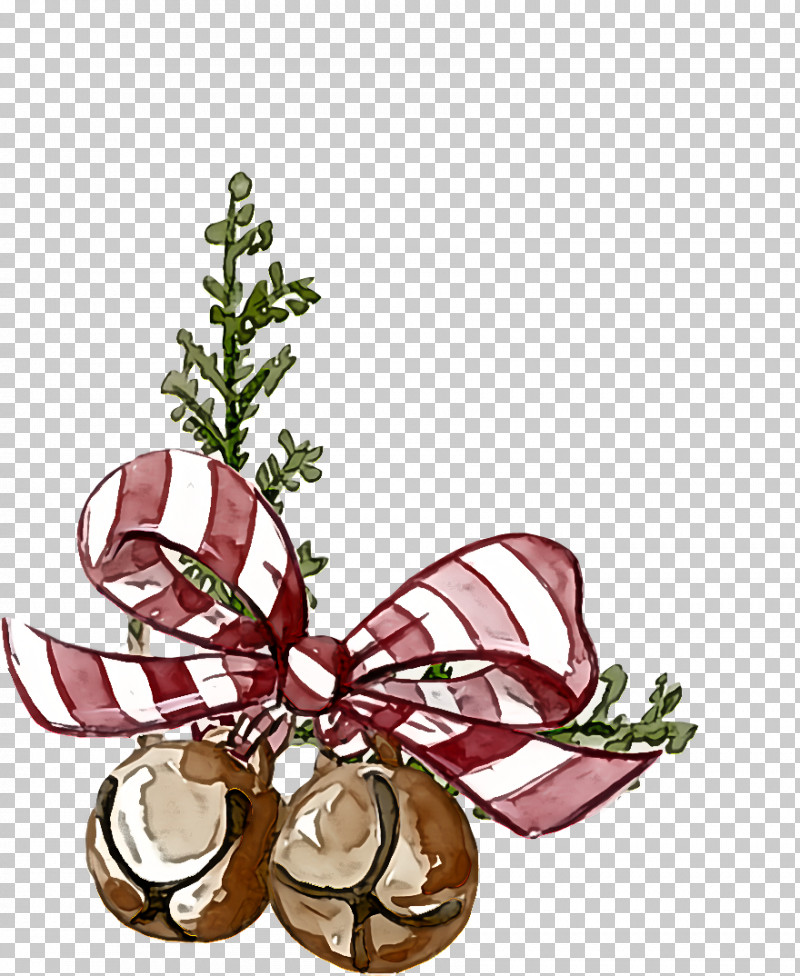 Christmas Ornament PNG, Clipart, Christmas Day, Christmas Ornament, Color, Flower, Holiday Ornament Free PNG Download