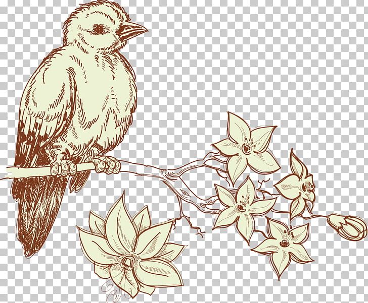 Bird Sparrow Drawing PNG, Clipart, Animals, Beak, Branch, Branches, Cartoon Sparrow Free PNG Download