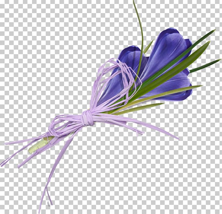 Flower Crocus Flavus PNG, Clipart, Bouquet, Bouquet Of Flowers, Bouquet Of Roses, Bulb, Crocus Free PNG Download