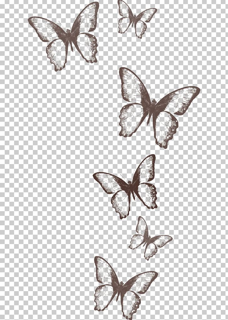 Monarch Butterfly Drawing PNG, Clipart, Black And White, Brush Footed Butterfly, Butterflies And Moths, Butterfly, Digital Image Free PNG Download