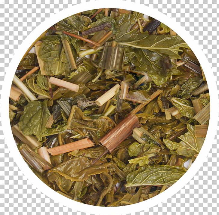 Nilgiri Tea Hōjicha Ingredient Tea Plant PNG, Clipart, Bai Mudan, Bancha, Darjeeling Tea, Dianhong, Hojicha Free PNG Download