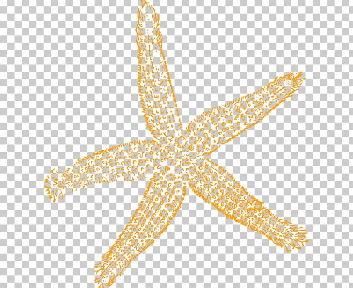 Starfish Free Content PNG, Clipart, Blog, Body Jewelry, Clip Art, Computer Icons, Drawing Free PNG Download