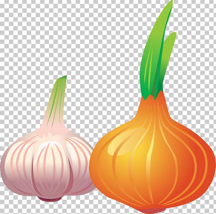 Garlic Vegetable Stir Frying PNG, Clipart, Adobe Illustrator, Allium Fistulosum, Curing, Food, Garlic Free PNG Download