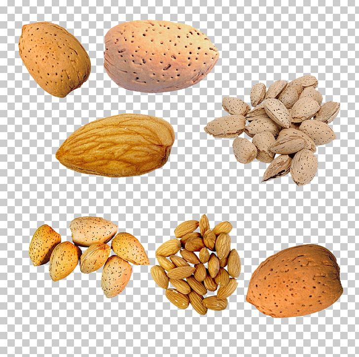 Nut U041cu0438u043du0434u0430u043bu044c Almond PNG, Clipart, Adobe Illustrator, Almond, Almond Nut, Almonds, Commodity Free PNG Download