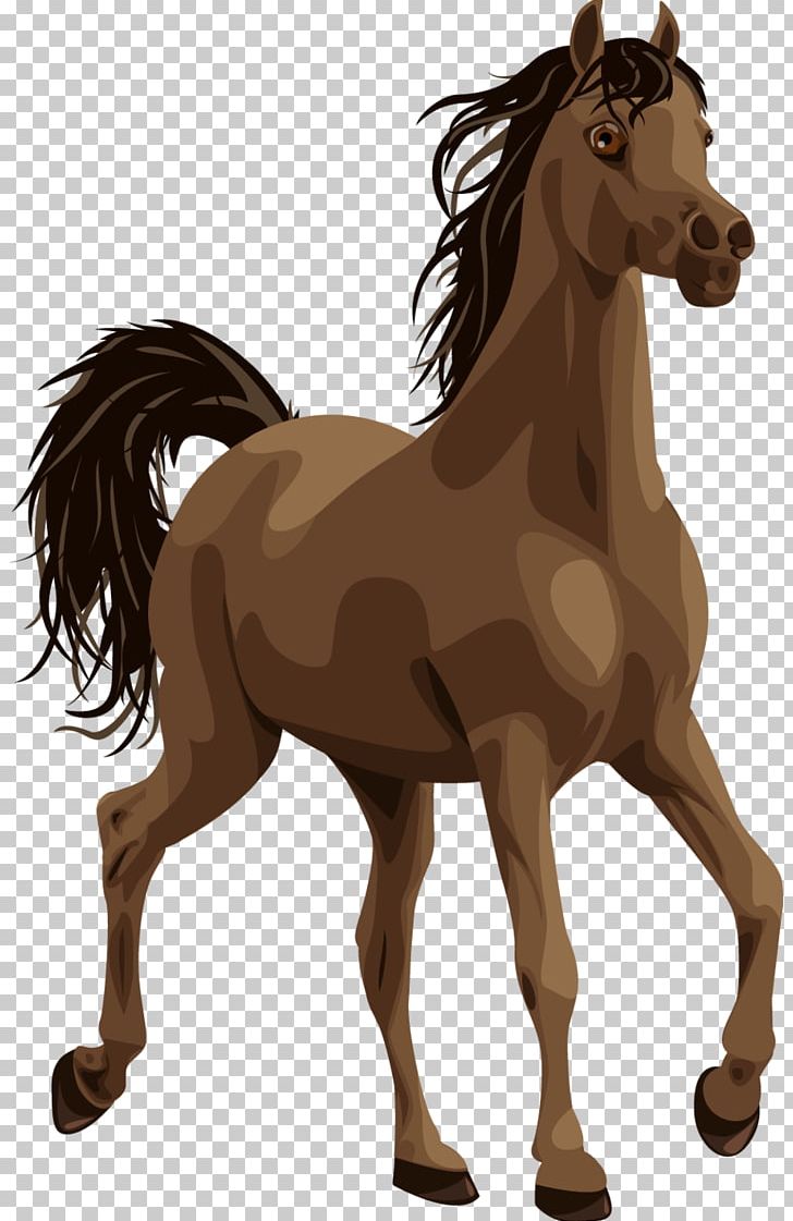 Arabian Horse Pony Colt PNG, Clipart, Animal, Animals, Arabian Horse, Bridle, Colt Free PNG Download