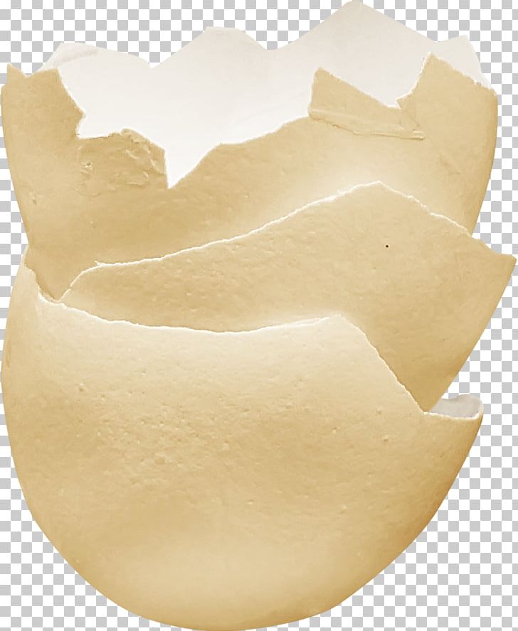 Bird Eggshell PNG, Clipart, Adobe Illustrator, Adornment, Animal, Broken Eggshell, Cartoon Free PNG Download