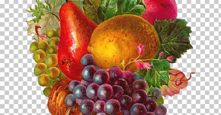 Common Grape Vine Fruit Vintage Clothing Apple PNG, Clipart, Antique, Apple, Common Grape Vine, Diet Food, Food Free PNG Download