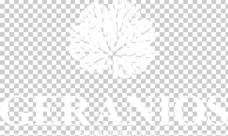Line Angle PNG, Clipart, Angle, Art, Crop, Cypress, Dandelion Free PNG Download