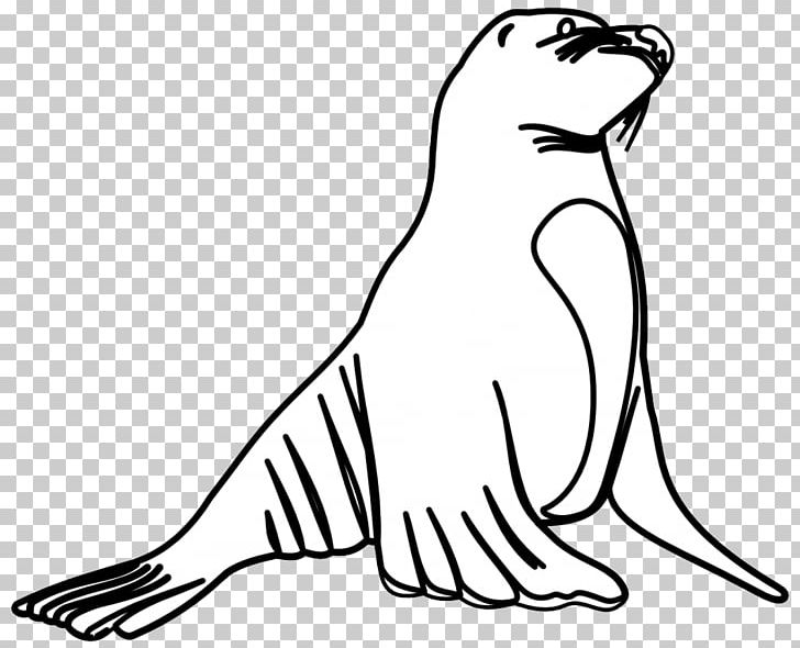 Sea Lion Earless Seal Sea Otter PNG, Clipart, Beak, Bird, Black, Black And White, California Sea Lion Free PNG Download