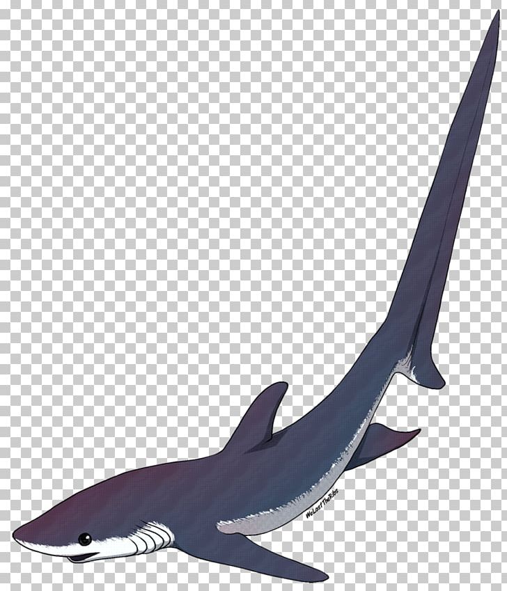 Shark USS Thresher (SSN-593) Isurus Oxyrinchus Chondrichthyes Common Thresher PNG, Clipart, Animal, Animals, Brian Skerry, Cartilaginous Fish, Chondrichthyes Free PNG Download