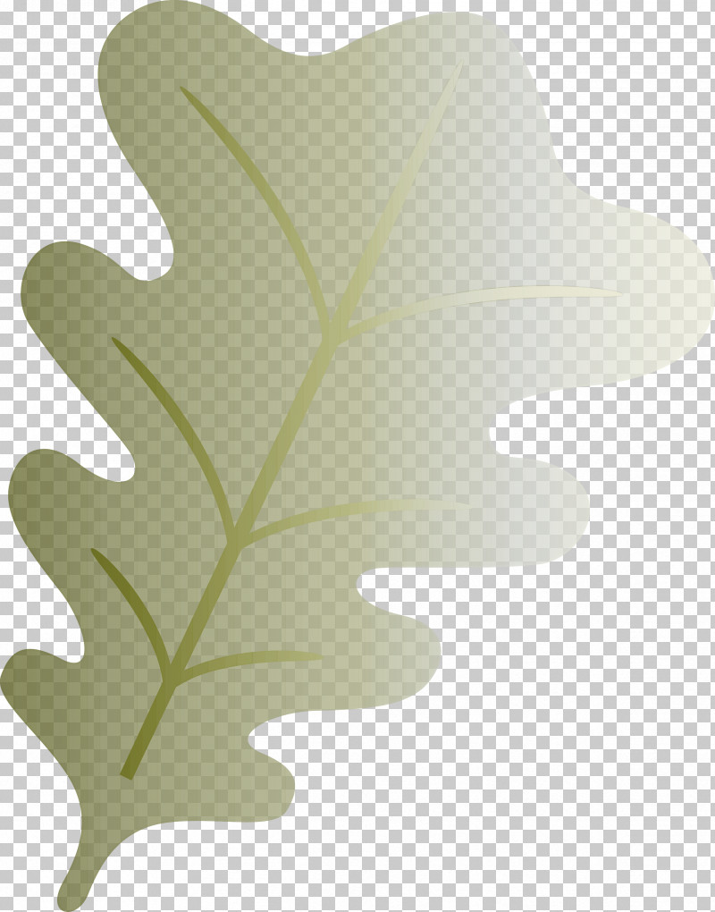 Oak Leaf PNG, Clipart, Branch, Branchblack, Cartoon, Drawing, Family Tree Free PNG Download