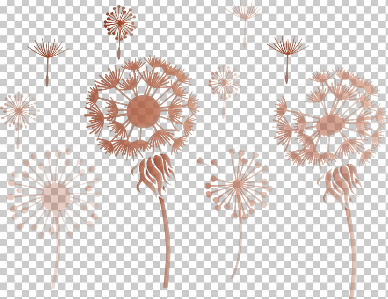 Dandelion PNG, Clipart, Chrysanthemum, Dahlia, Daisy Family, Dandelion, Flower Free PNG Download