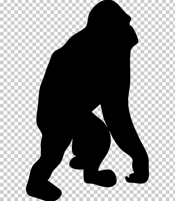 Ape Drawing PNG, Clipart, Animal, Animals, Ape, Black, Black And White Free PNG Download