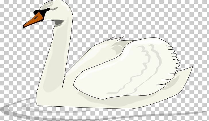 Black Swan Swan Lake PNG, Clipart, Animal, Animals, Balloon Cartoon, Beak,  Bird Free PNG Download