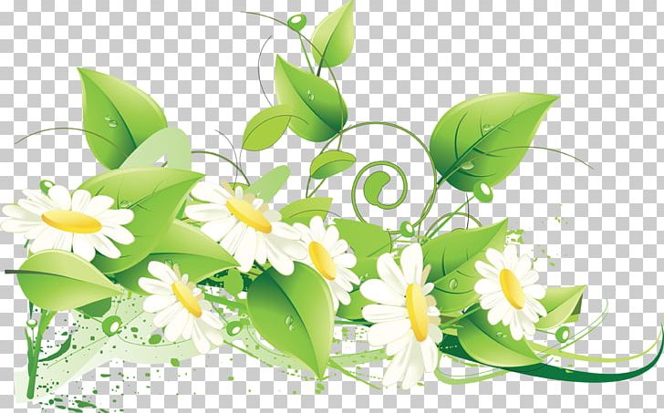 Flower Floral Design PNG, Clipart, Alternative Medicine, Camomile, Computer Wallpaper, Cut Flowers, Download Free PNG Download